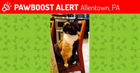 We use our <strong>Purina</strong> experts to cover topics like dog and cat health, nutrition, behavior, training and more. . Allentown craigslist pets